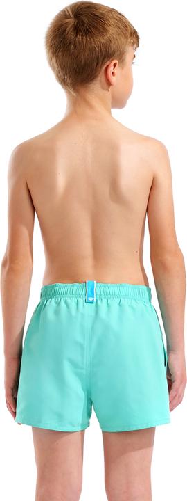 Image du produit Arena B Beach Short Logo R (128)