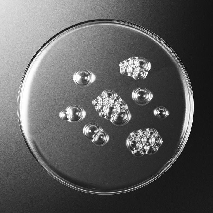 Actual product image Sisley Sisleÿum Lotion Tonique Revitalisante (Aftershave Lotion, 150 ml)