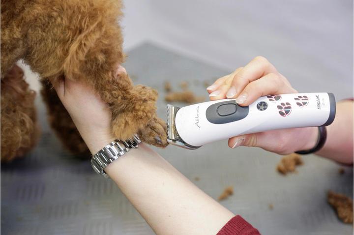 Actual product image Kerbl Accurata (Dog)
