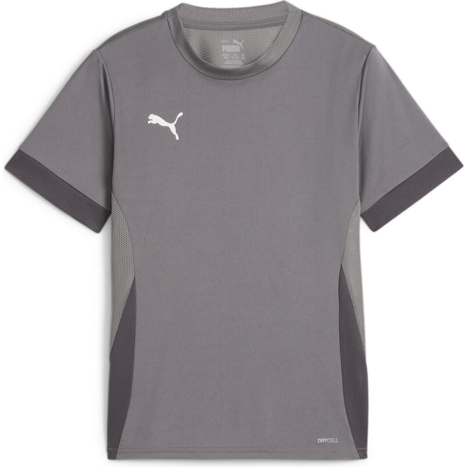 Puma, Jungen, Sportshirt, teamGOAL Matchday Jersey jr (128), Grau, 128