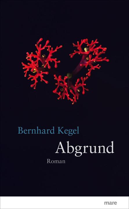 Produktbild Abgrund (Deutsch, Bernhard Kegel, 2017)