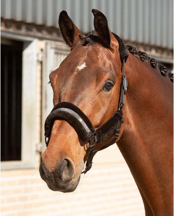 Immagine prodotto Harry's Horse Denici Cavalli Stardust Soft