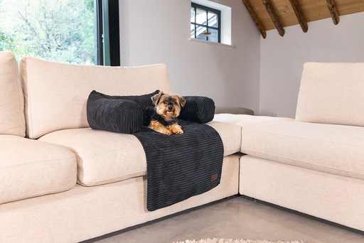 Productafbeelding Designed by Lotte Geribbeld (Hond)