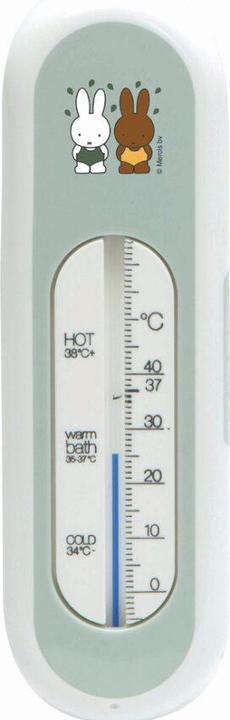Image du produit Zewi Thermomètre de bain