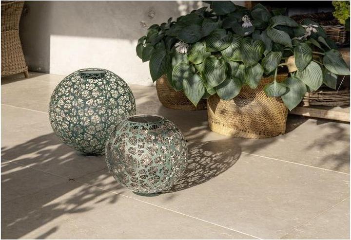 Image du produit STT Monstera