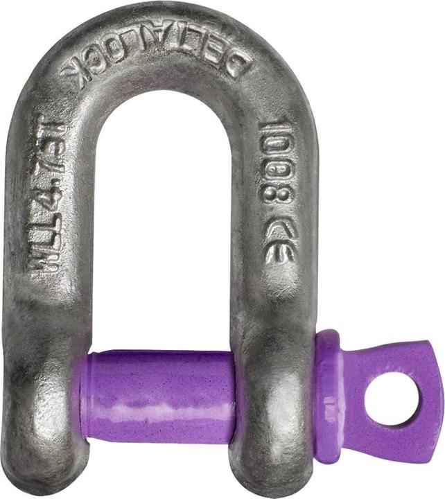Produktbild Delta YE.EN02.03.25 D-Schäkel mit Brustbolzen, 3,25 Tonnen