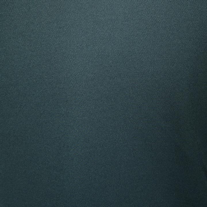 Image du produit Inesis Polo de golf à manches courtes pour hommes - WW500 vert (XXL)