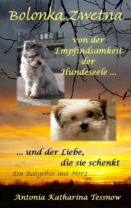 Produktbild Bolonka Zwetna (Deutsch, Tessnow, AntoniaKatharina, 2017)