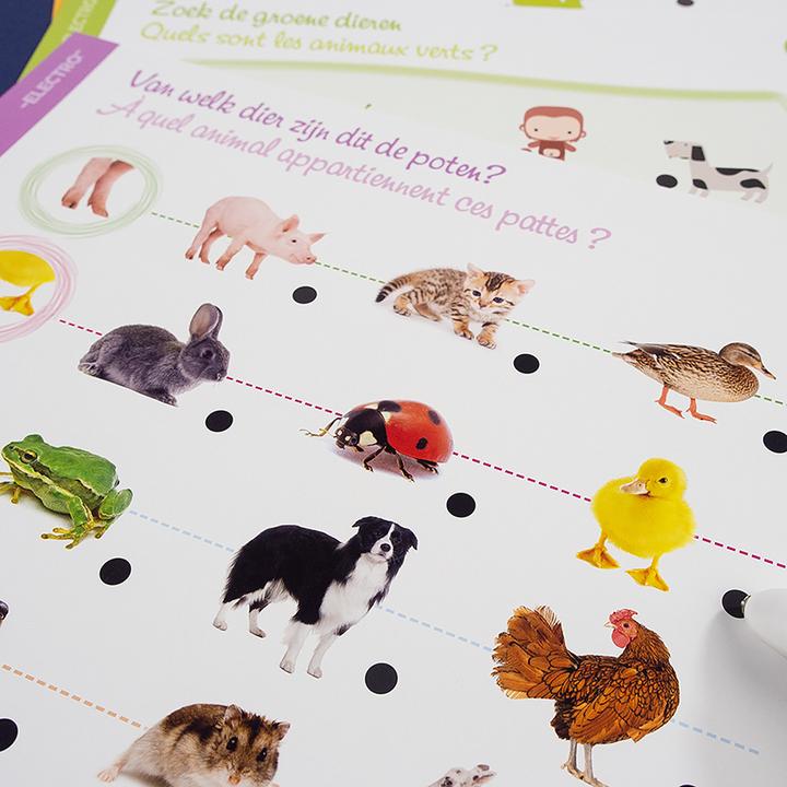 Produktbild Jumbo Electro Wonderpen Entdecken Tiere (Niederländisch, 2 Jahre)