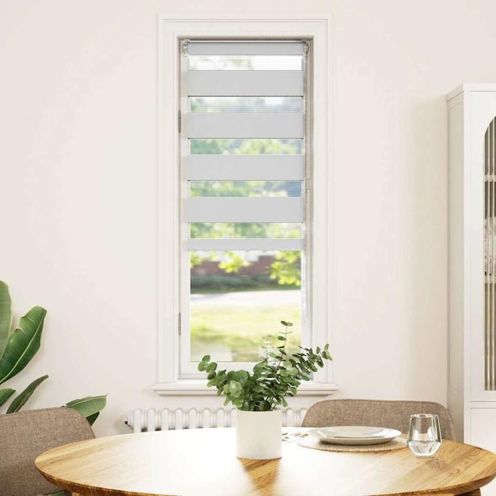 Produktbild vidaXL Zebra-Jalousie (45 x 150 cm)