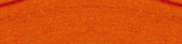 Actual product image Werola Waterproof crepe paper orange 32.0 gsm 10 rolls (1 x)