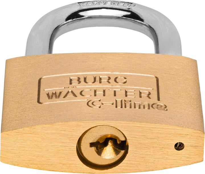 Productafbeelding Burg Wächter Cilinderslot 222 45 Slothuis breedte 45 mm Messing anders sleutel