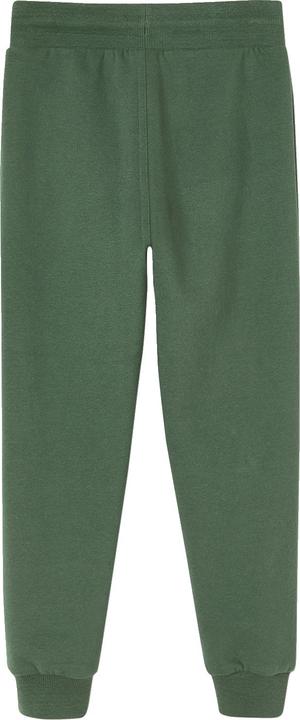 Fir green