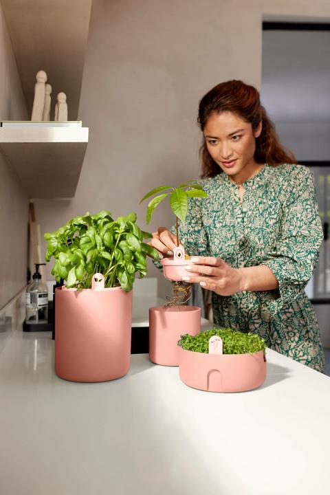 Produktbild Elho Amazing Avocado Pot