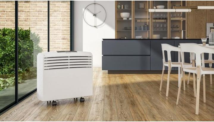 Immagine prodotto Olimpia Splendid Dolceclima Easy 10 P (8189.14 BTU/h)