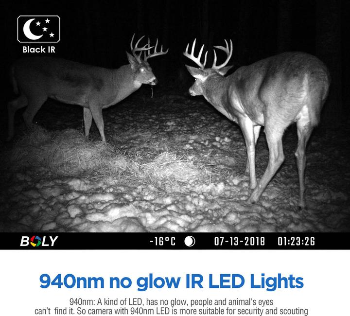 Actual product image Boly Cam 37MP/4K Video, 940nm, compact