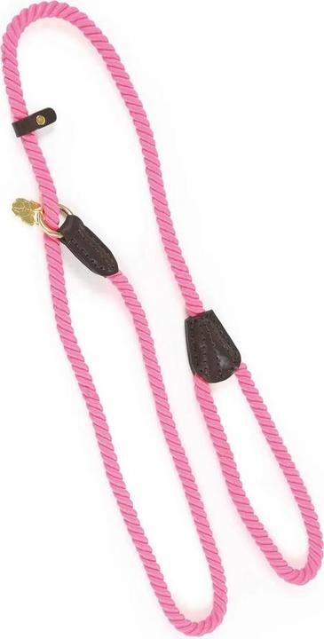 Actual product image Digby & Fox Rope Leather Dog Slip Lead (One size, Dog, Dog sport)