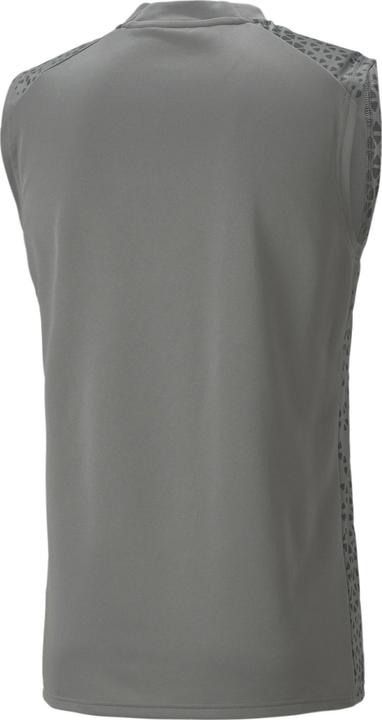 Actual product image Puma teamCUP Training Jersey SL (L)