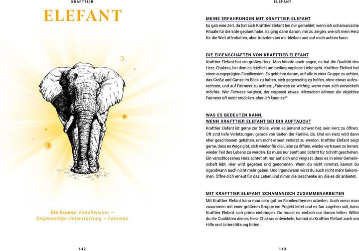 Produktbild Praxisbuch Schamanische Krafttiere – Entdecke deine Seelenbegleiter (Deutsch, Benjamin Maier, 2022)