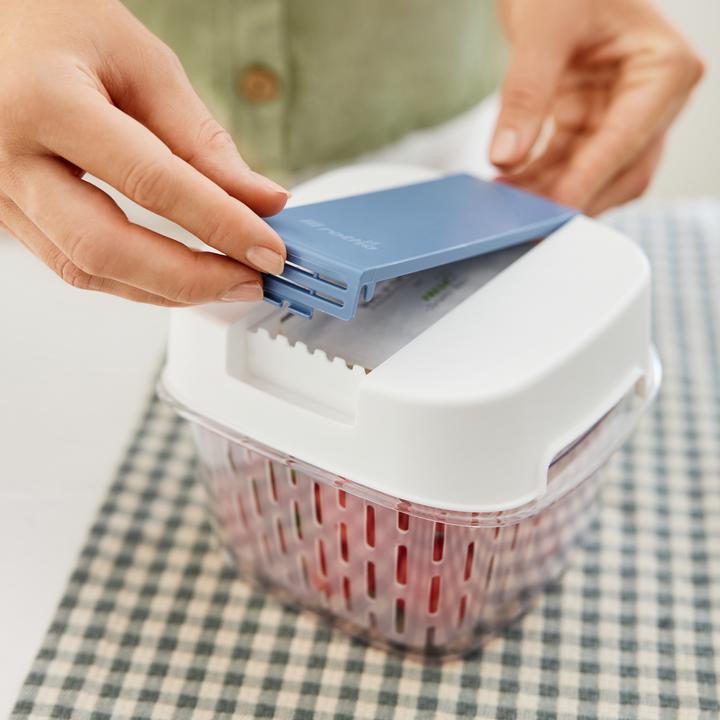 Produktbild Rotho Dynamic Box 1,6 l FRESH (1.60 l)