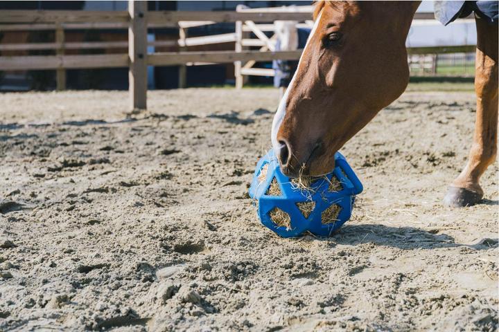Produktbild Kentucky Horsewear Relax Horse Spiel & Heuball