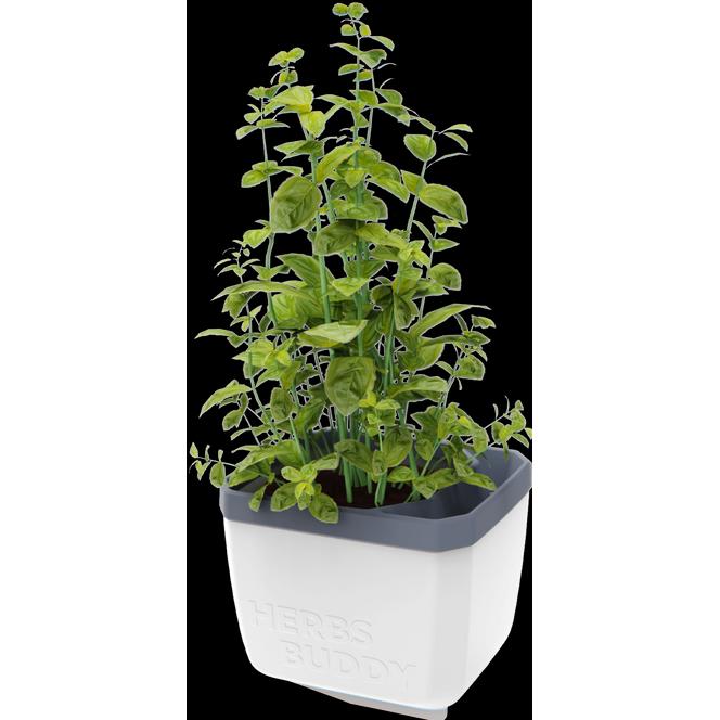 Gusta Garden, Blumentopf, Herbs Buddy (14 cm)