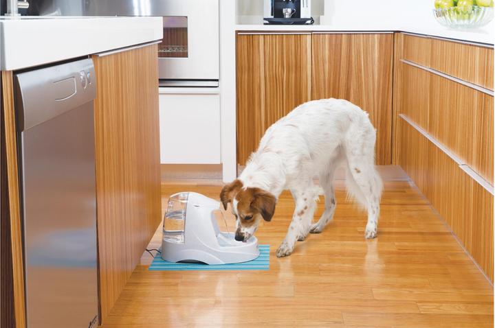 Image du produit Drinkwell Platinum (500 cl)