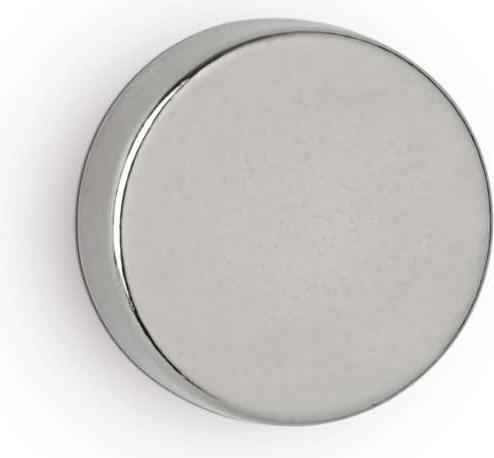 Actual product image Maul Neodymium disc magnet, 15 mm, adhesive force: 4.5 kg, silver Diameter: 15 mm / height: 5 mm, high (10x)