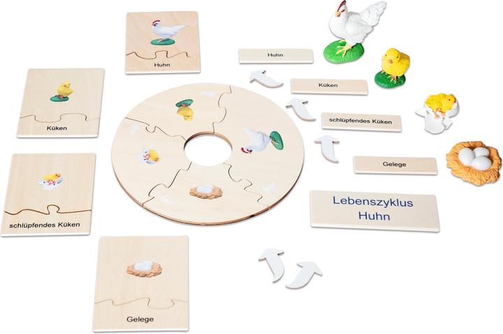 Produktbild Betzold Lebenszyklen-Set