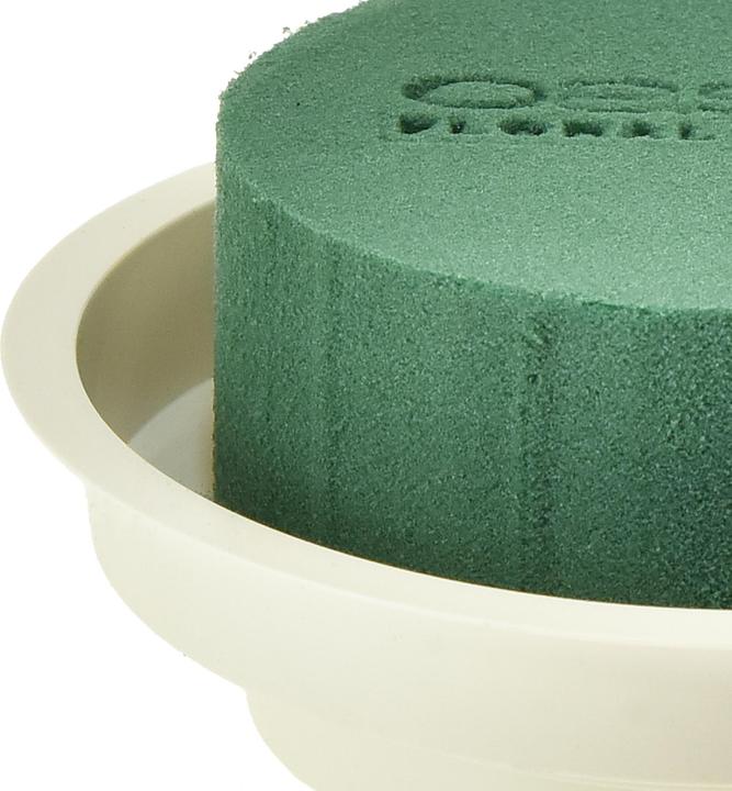 Produktbild Oasis Junior Complete (12 cm)