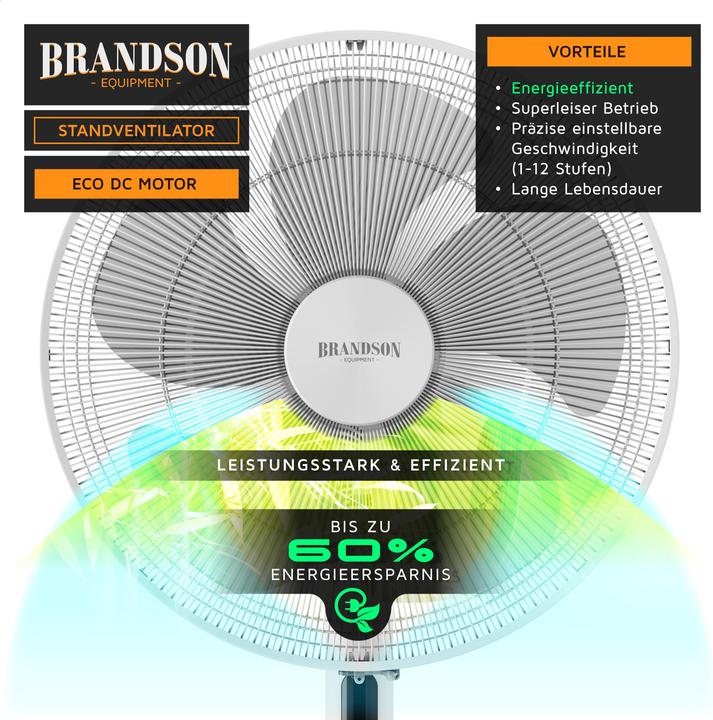 Actual product image Brandson Pedestal fan (59 dB)