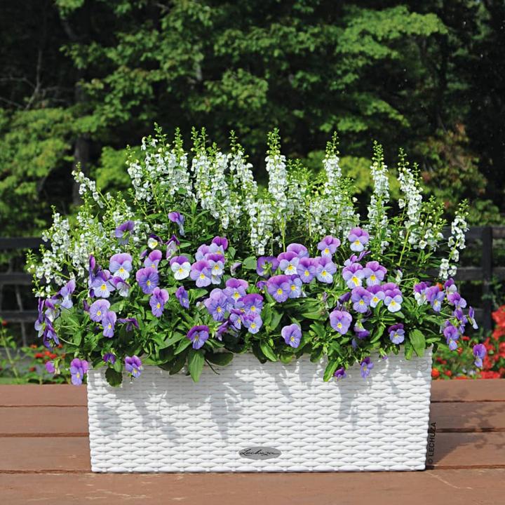 Actual product image Lechuza Balconera Cottage (19 cm)