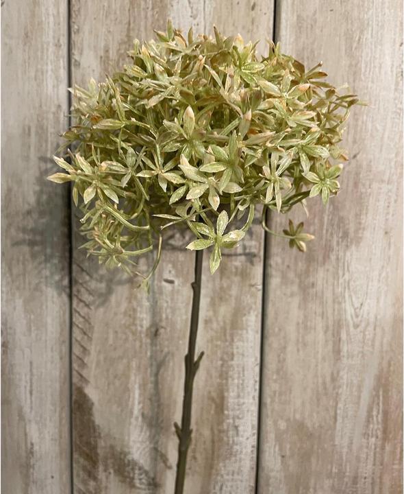 Actual product image Hill Interiors Allium Stem Artificial Flower (63 cm)