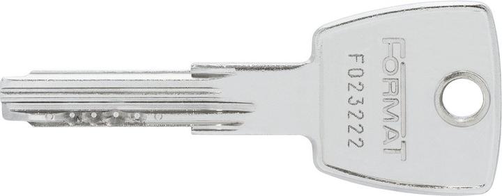 Produktbild Abus Format Profilzylinder BG66N N+G, 50-50 mm, inkl. 5 Wendeschlüsseln (Profilzylinder)