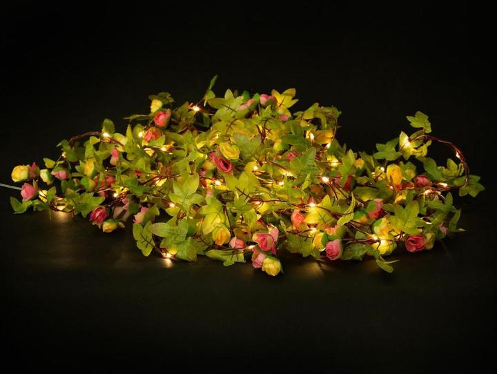 Produktbild Cocon Lichterkette LED Solar Blumen (1 m)