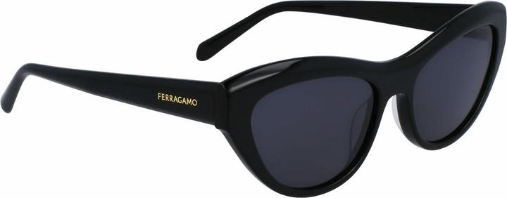 Image du produit Salvatore Ferragamo Ladies' Sunglasses SF1103S-5517001 Ã˜ 55 mm