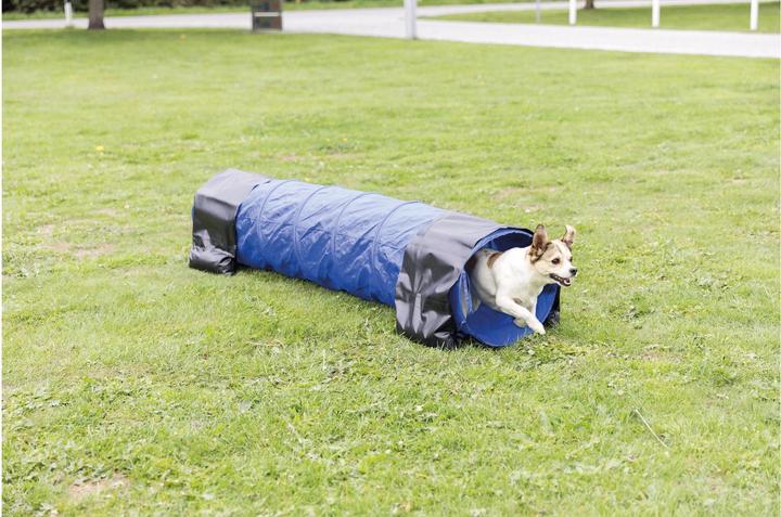 Image du produit Trixie Tunnel d'agilité pour chiens (Agility)