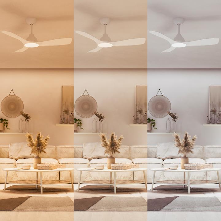 Immagine prodotto Philips Olas