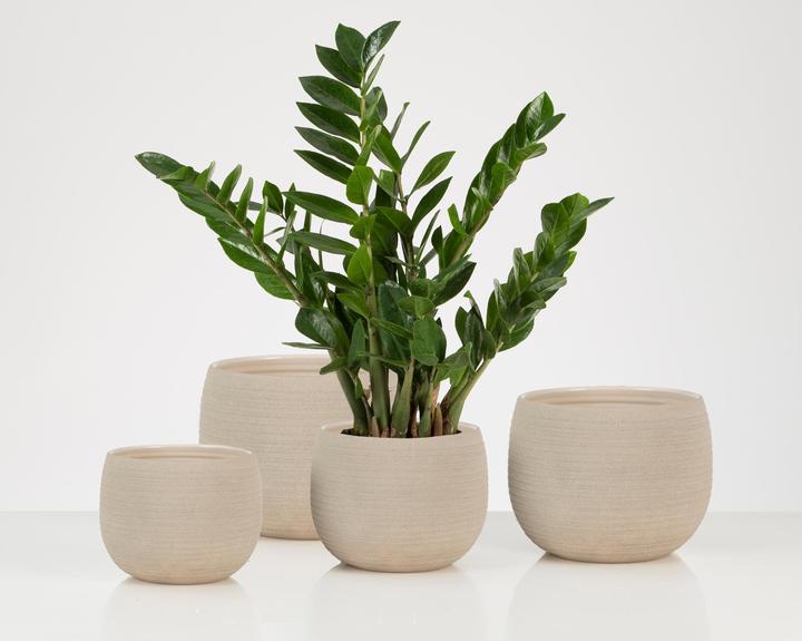 Produktbild Scheurich Taupe (24 cm)