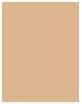 Actual product image MAC Cosmetics Mineralize Skinfinish Natural (Medium Tan)