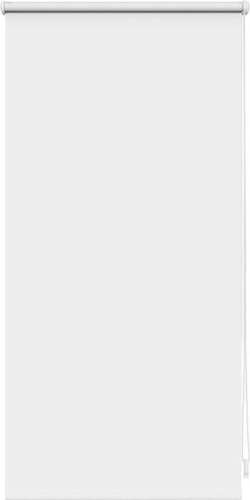 Produktbild vidaXL Verdunkelungsrollos (40 x 100 cm)
