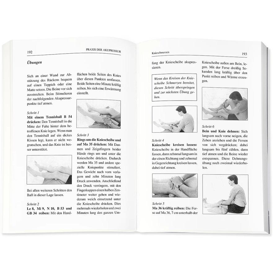 Thumbnail - Heilende Punkte, Ratgeber von Michael Reed-Gach