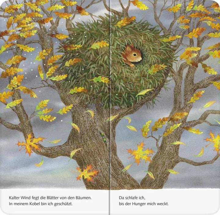 Produktbild Ravensburger Ich bin das kleine Eichhörnchen (Deutsch)