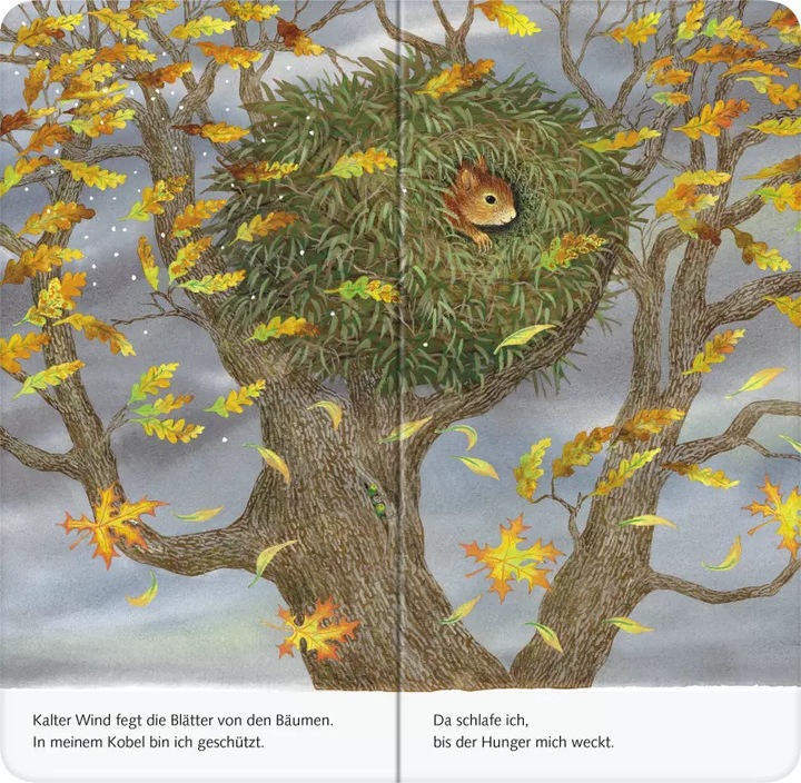Immagine prodotto Ravensburger Ich bin das kleine Eichhörnchen (Tedesco)