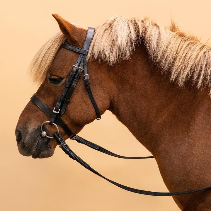 Actual product image Fouganza Snaffle Schooling Leather