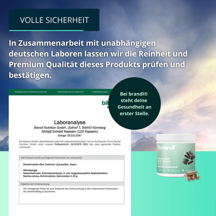 Produktbild Brandl Shilajit Extrakt (120 Stück, Kapseln, 75 g)