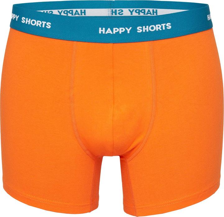 Actual product image Happy shorts Retro Pants Jersey (L, pack of 4)