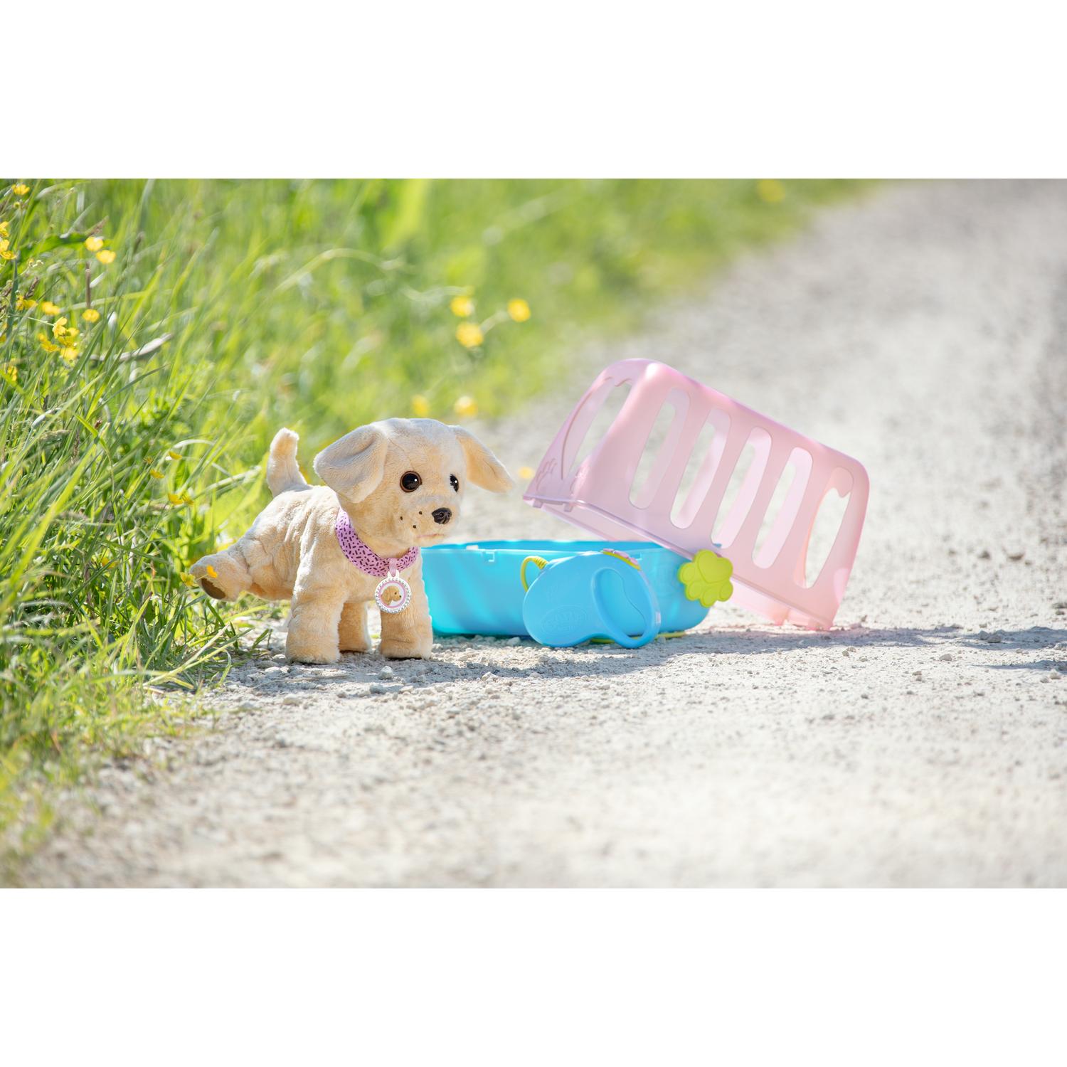 Thumbnail - Zapf Creation Baby born Mein Hund Lucky mit Box