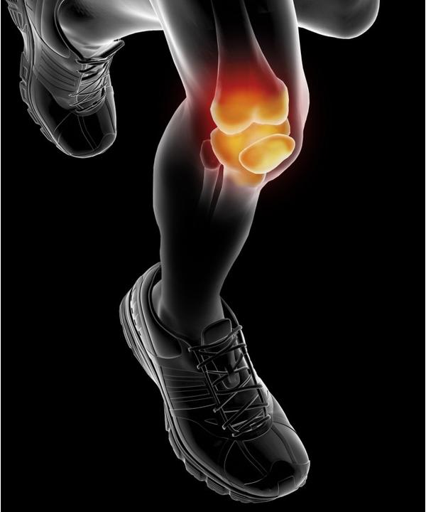 Actual product image Epitact Sport knee brace EpitheliumFlex 01, size S (S)