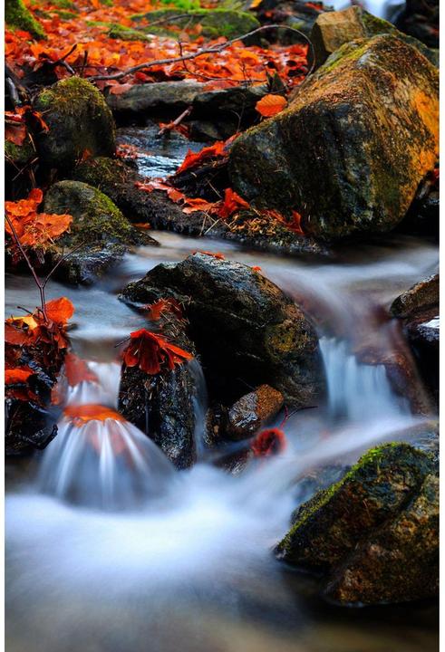Produktbild Kaiser Vario Neutral Density ND Filter ND 2X-ND 400X Lens Cap And Pouch Ø 37 mm